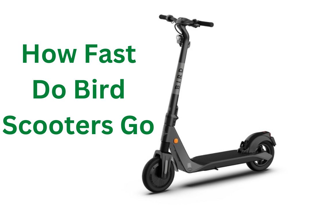 How Fast Do Bird Scooters Go?